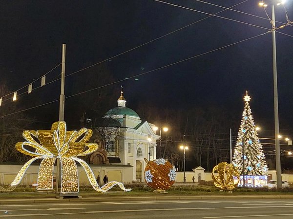 Новогодние чудеса Петербурга - фото 4