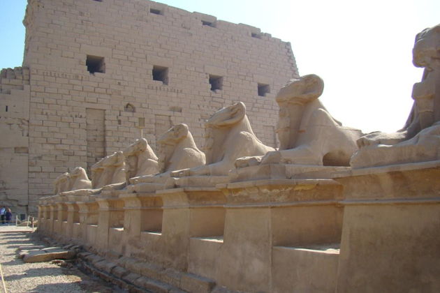 Фото экскурсии - Тур по Дендере и Луксору - 6