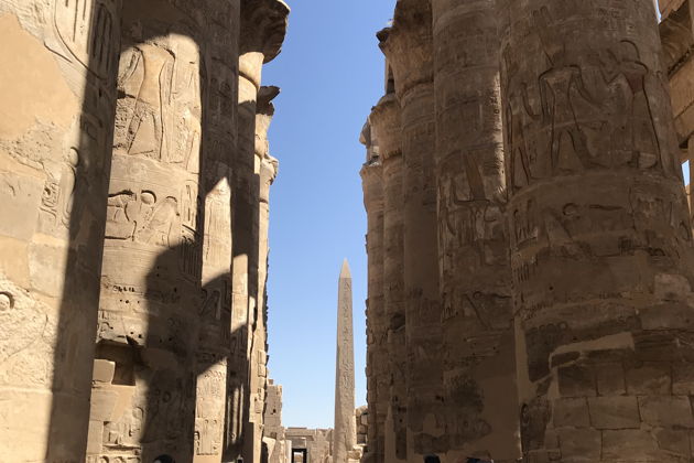 Фото экскурсии - Тур по Дендере и Луксору - 8