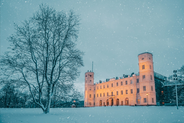 Фото - экскурсия: Индивидуальная поездка в Гатчину на авто