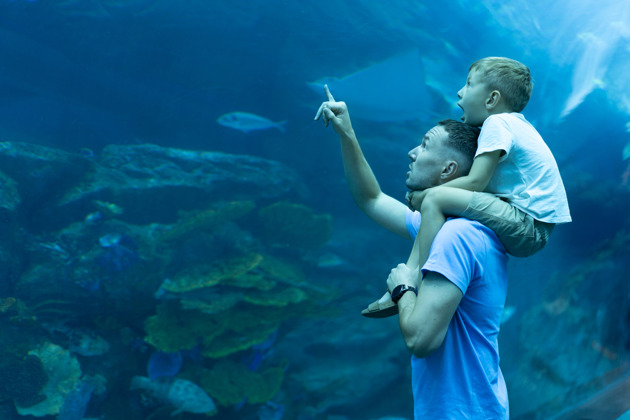 Фото - экскурсия: Аквариум «Флория» — посетите один из самых больших аквариумов в Европе 