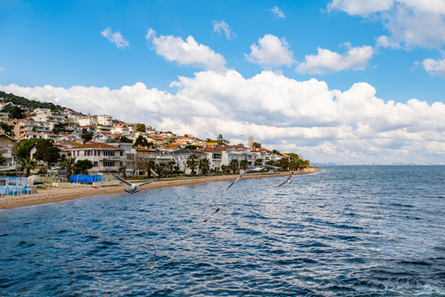 Фото - экскурсия: Умиротворение на Принцевых островах: история и живописные виды