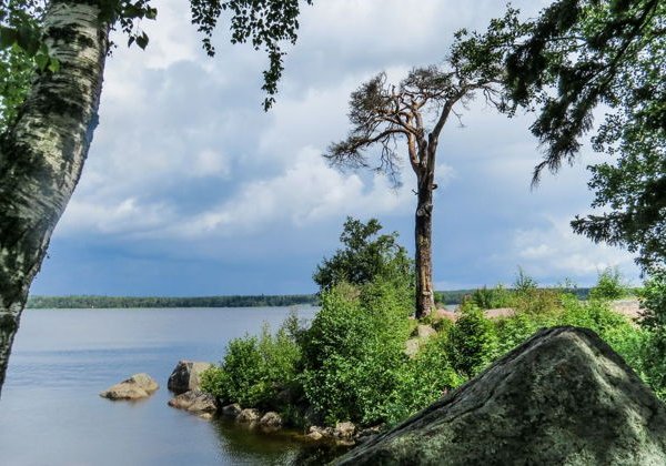 Парк Монрепо в Выборге: аудиоэкскурсия с билетом по оазису романтики - фото 2