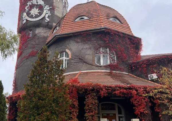 Светлогорск и Янтарный: королевский курорт и берег с янтарем