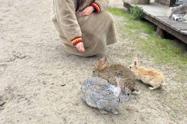 Фото экскурсии - Погружение в культуру саамов: визит в северную деревню коренного народа - 7