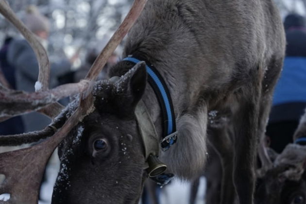 Фото экскурсии - Погружение в культуру саамов: визит в северную деревню коренного народа - 8