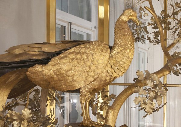 Индивидуальная экскурсия по Кунсткамере + входные билеты