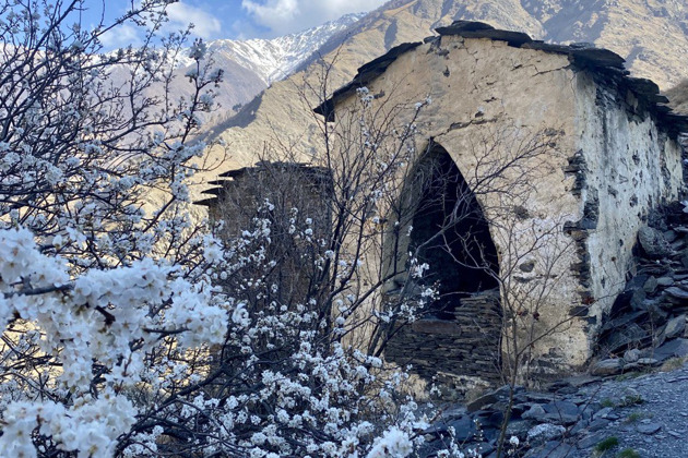 Фото - экскурсия: Аргунское ущелье и древний некрополь Цой-Педе: архитектурные шедевры горной Чечни