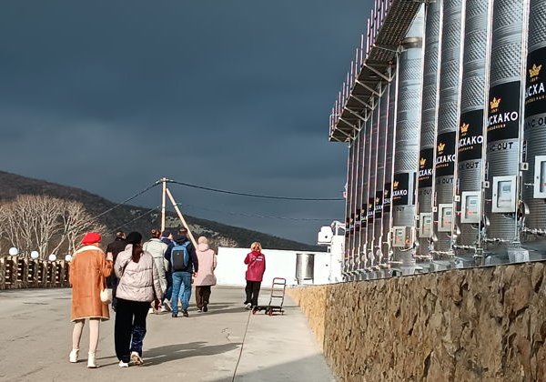 Винный тур по старинным винодельням Новороссийска: Абрау-Дюрсо и Мысхако - фото 4