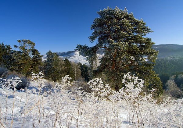 Прогулка к замку «Четырёх братьев» - фото 2