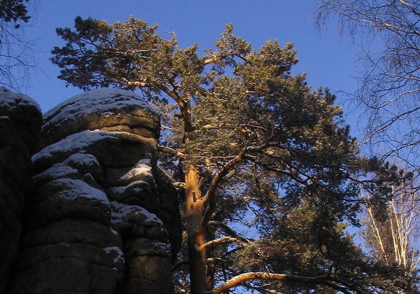 Прогулка к замку «Четырёх братьев» - фото 4