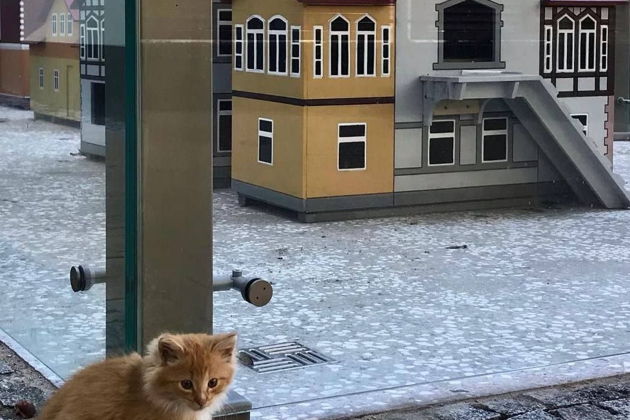 Фото экскурсии - Завораживающие пейзажи Куршской косы и сыроварня с замком Несельбек в Зеленоградске - 10
