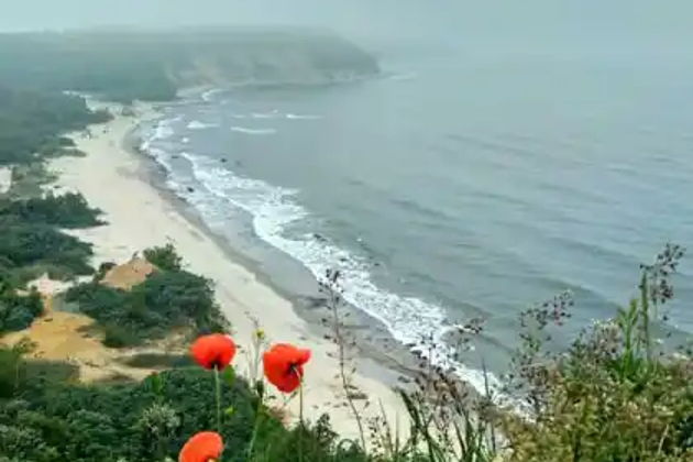 Фото экскурсии - Впечатляющие прогулки по приморским городкам из Зеленоградска - 1
