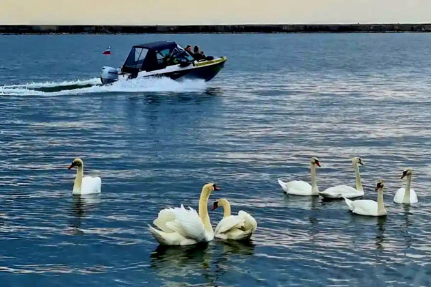 Фото экскурсии - Впечатляющие прогулки по приморским городкам из Зеленоградска - 13