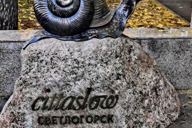 Фото экскурсии - Впечатляющие прогулки по приморским городкам из Зеленоградска - 14