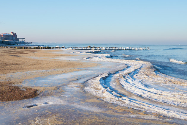 Куршская коса и Зеленоградск с местным жителем.