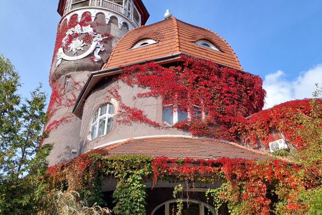 Фото экскурсии - От Куршской косы до приморских курортов: Зеленоградск, Светлогорск и Янтарный - 10