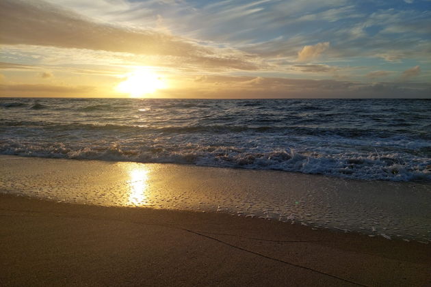 Фото экскурсии - От Куршской косы до приморских курортов: Зеленоградск, Светлогорск и Янтарный - 11