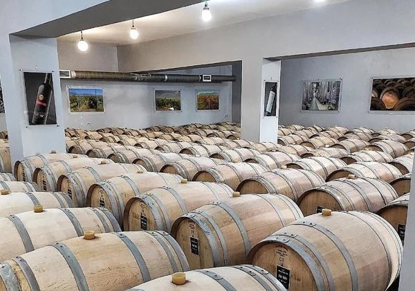 Русская Тоскана: экскурсия на винодельни «Шато Пино» и «Мысхако» - фото 3