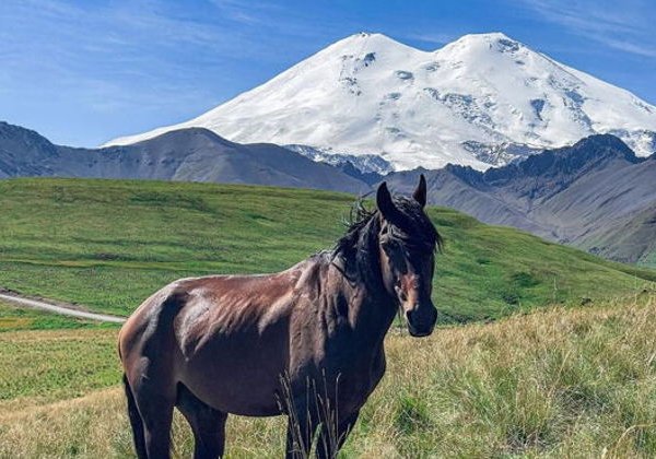 Панорамы Эльбруса и волшебное озеро Гижгит - фото 2