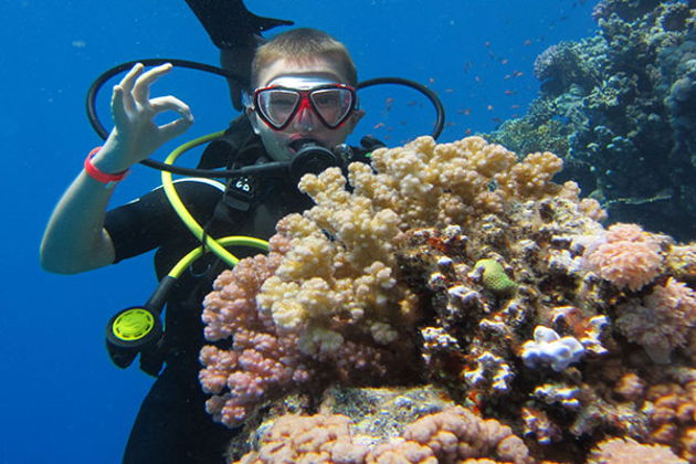 Фото экскурсии - Яхтенная прогулка к Египетским Мальдивам с возможностью поплавать - 6