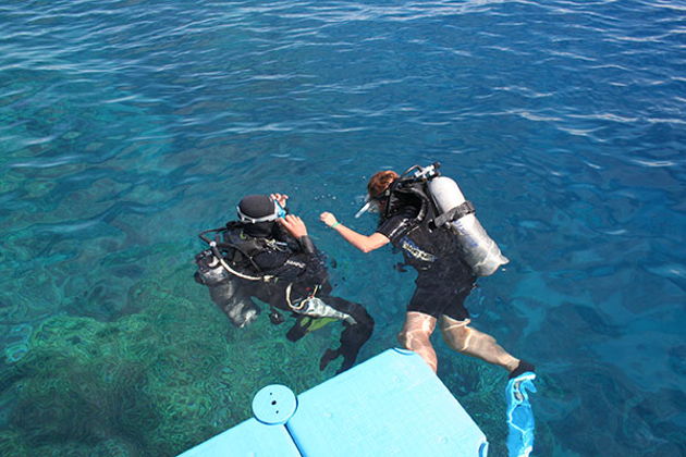 Фото экскурсии - Яхтенная прогулка к Египетским Мальдивам с возможностью поплавать - 7