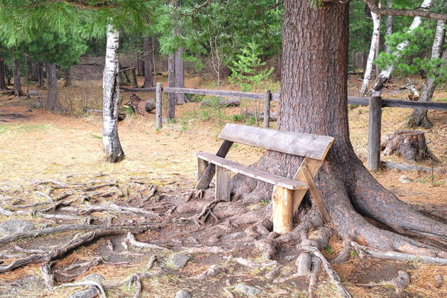 Фото экскурсии - Аршан - это Швейцария в Сибири - 12