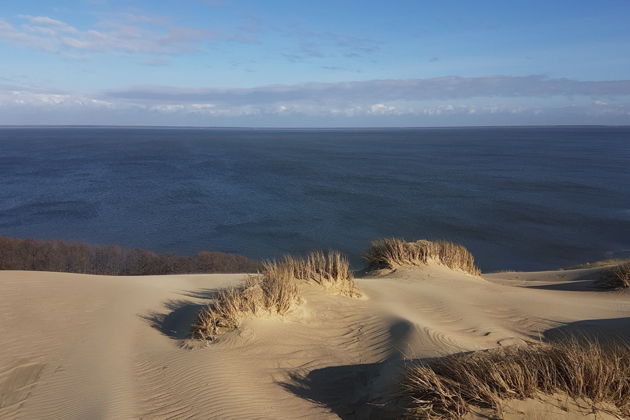 Чудеса Куршской косы: сосны, море, янтарные дюны-5