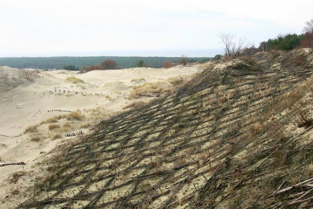 Куршская коса во всей красе-1