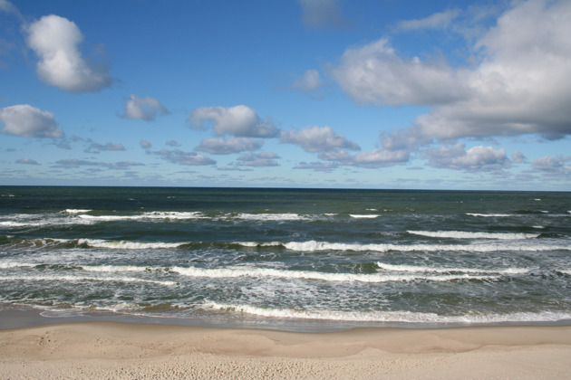 Фото - экскурсия: Куршская коса во всей красе из Янтарного !