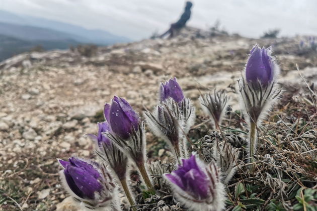 По диким местам Крыма. Едем, куда захотим. -4