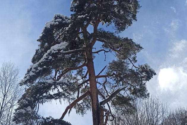 Счастье не за горами, оно в горах!-3