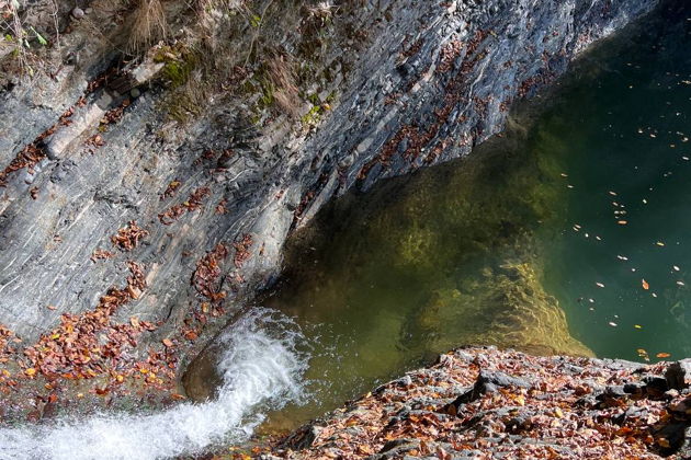 Фото экскурсии - Прогулка по зимнему субтропическому лесу Ажек среди водопадов - 11