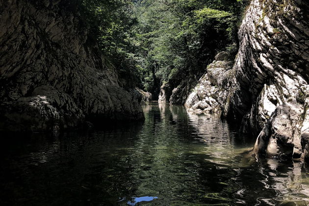 Фото экскурсии - Прогулка по зимнему субтропическому лесу Ажек среди водопадов - 7