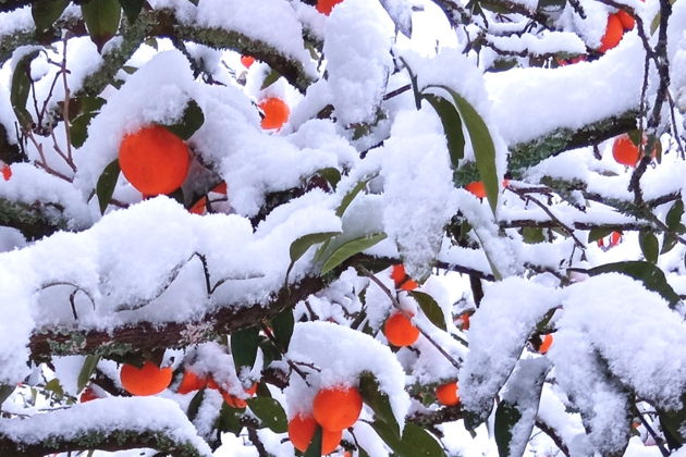 Фото экскурсии - Топовые места Абхазии в мини-группе - 11