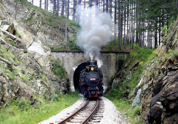 В гостях у Кустурицы — Западная Сербия нац.парк Тара, каньон Дрина - фото 1