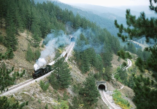 Прогулка по Западной Сербии с Кустурицей: нацпарк Тара и каньон Дрина