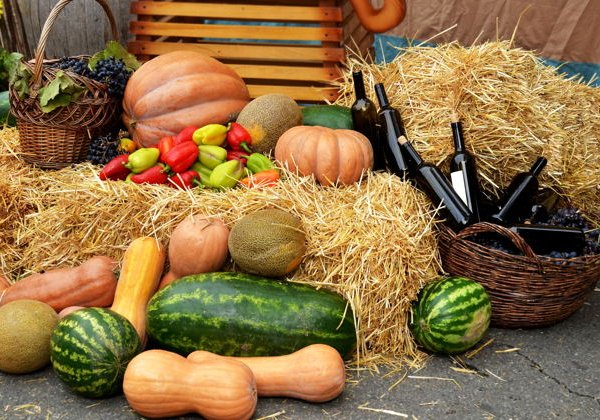 Винные дороги Анапы: Усадьба «Семигорье» и «Шато Гай-Кодзор» - фото 1