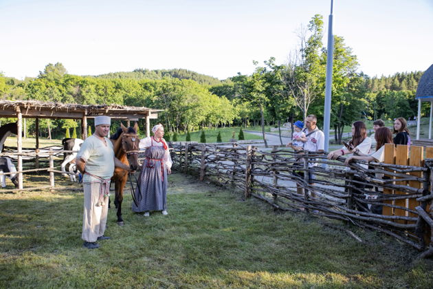 Фото экскурсии - Экскурсия "Мир лошадей" - 5