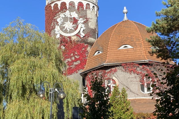 Фото экскурсии - Откройте для себя лучшие курорты Зеленоградск и Светлогорск с посещением сыроварни Шаакен Дорф - 10