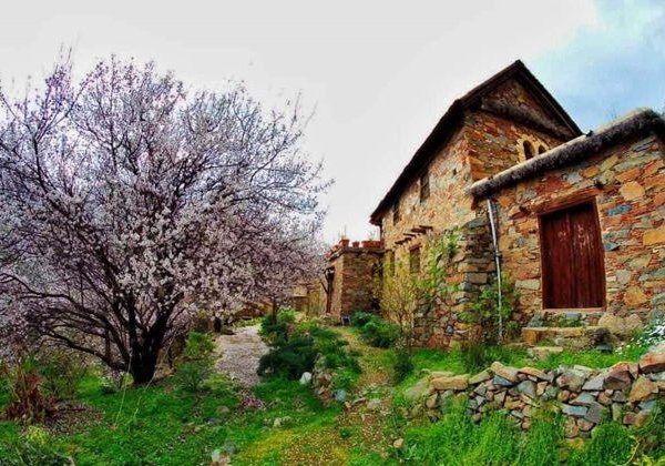 Чудеса Святого Исцеления - фото 1