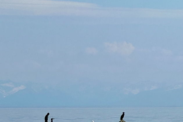 Фото экскурсии - Осенний Байкал в Листвянке и исток Ангары - 13