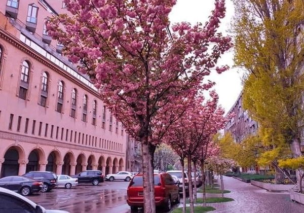 «В объективе — Ереван» - фото 2
