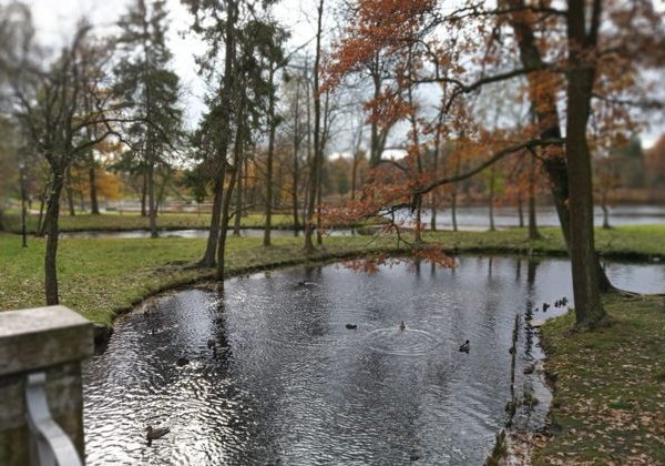 Тайны и романтика Гатчины - фото 1