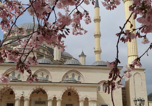 Восточная сказка: Грозный, Аргун и Шали - фото 1