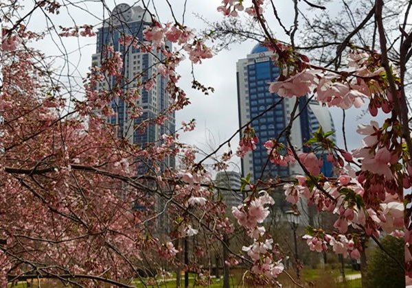 Восточная сказка: Грозный, Аргун и Шали - фото 2