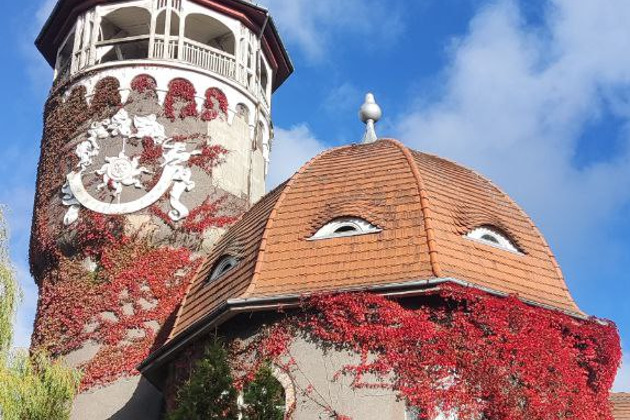 Фото - экскурсия: Прогулка по Светлогорску-Раушену: погружение в атмосферу курорта начала прошлого века