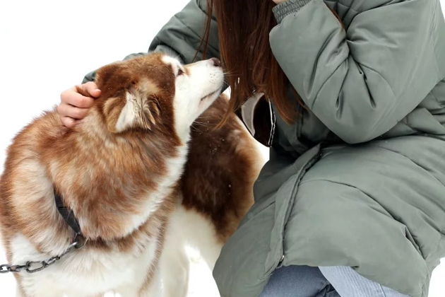 Фото экскурсии - 10 карельских чудес для быстрого знакомства - 6