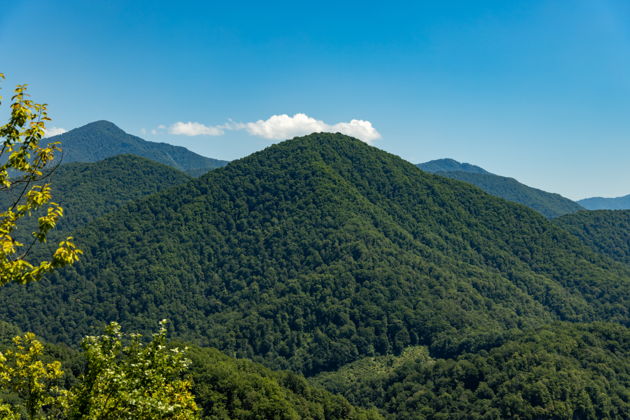 Фото экскурсии - Джип-тур по Солохаулу: чайные поля и полет на воздушном шаре в Сочи - 9