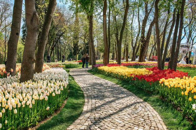 Фото экскурсии - Открывая Стамбул — самое интересное за 5 часов - 13